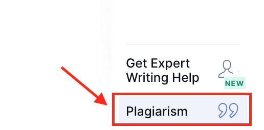 Plagiarism check on Grammarly