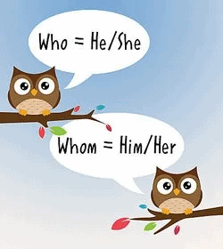 The image depicts two owls xplaining what who and whom correspond to