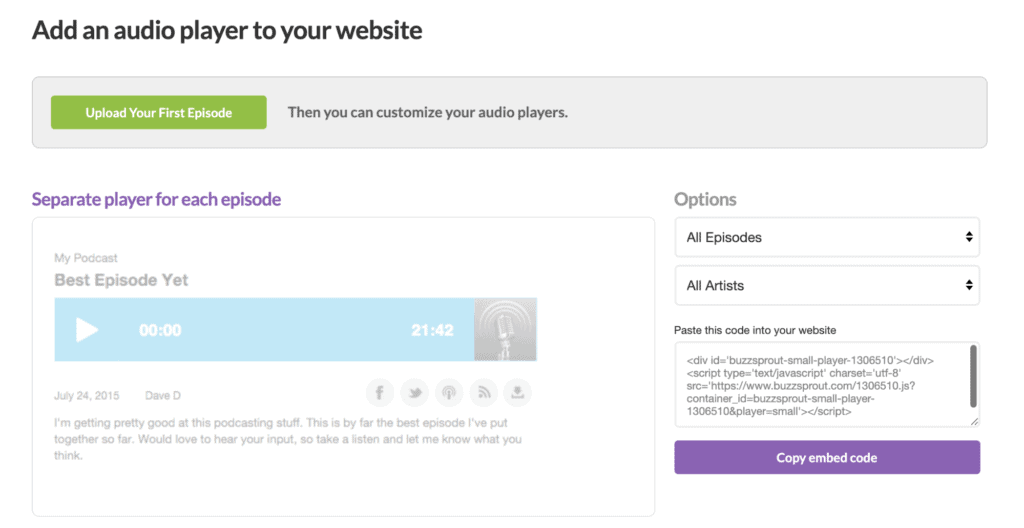 Add an audio Player to your website page