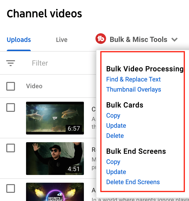 bulk processing tools on tubebuddy